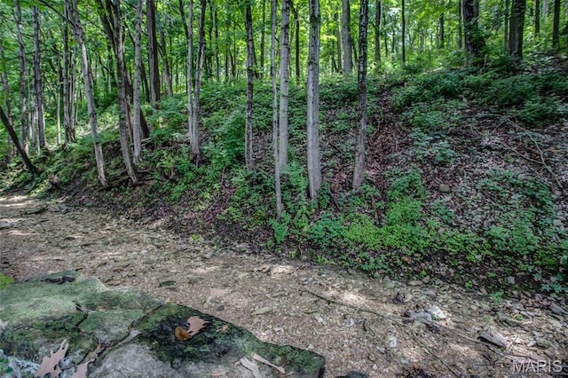 86 Mill St, Elsah, IL 62028 - view of tree filled area