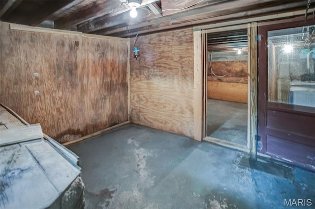 86 Mill St, Elsah, IL 62028 - unfinished basement featuring wood walls