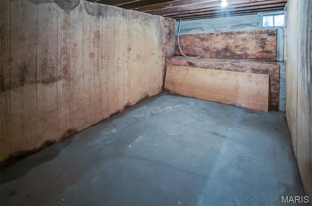 86 Mill St, Elsah, IL 62028 - basement with wooden walls