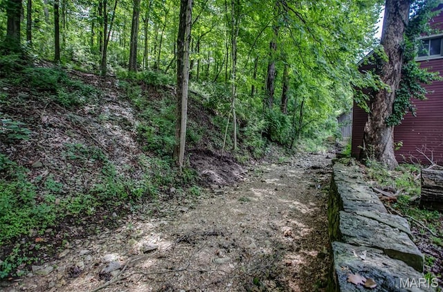 86 Mill St, Elsah, IL 62028 - view of nature