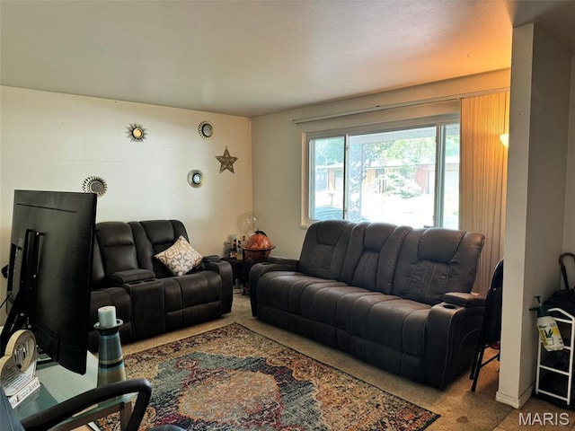 10268 Dacey Dr, Dellwood, MO 63136 - photo 6