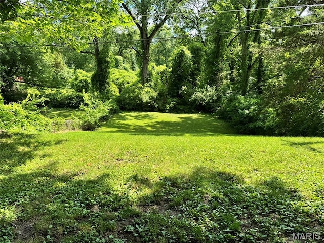 10268 Dacey Dr, Dellwood, MO 63136 - photo 23