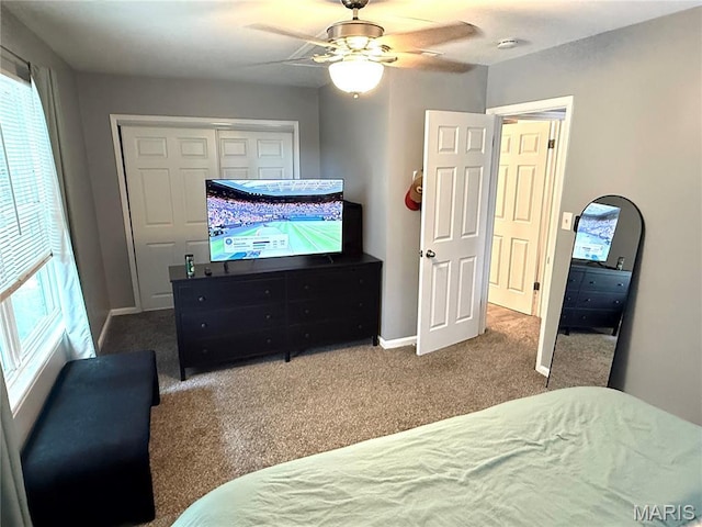 4079 Concordia Ave, Saint Louis, MO 63116 - photo 16