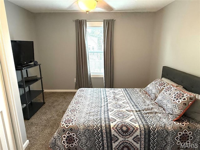 4079 Concordia Ave, Saint Louis, MO 63116 - photo 20