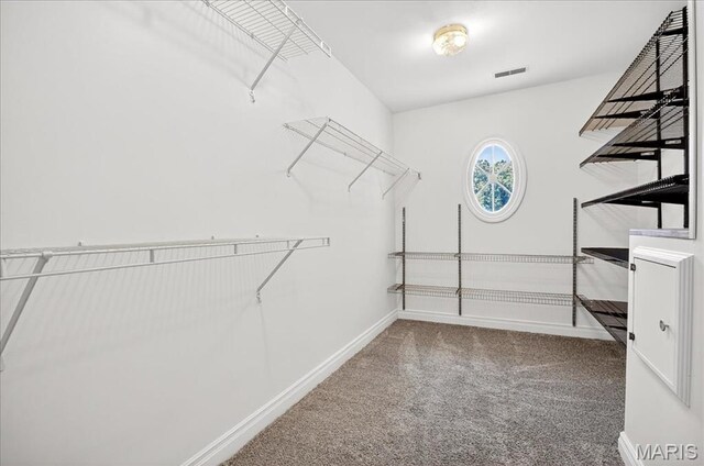 40 Steed Ct, Foristell, MO 63348 - photo 23