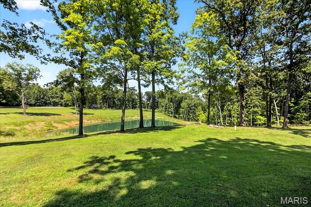 40 Steed Ct, Foristell, MO 63348 - photo 43