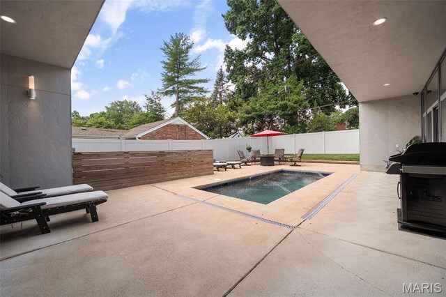 5951 Jamieson Ave, Saint Louis, MO 63109 - view of swimming pool with a patio area and a fenced backyard