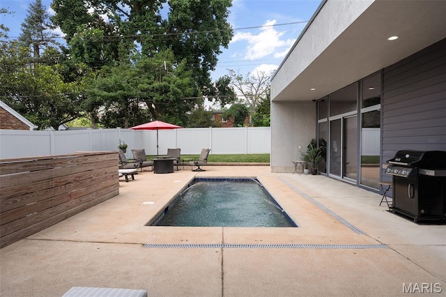 5951 Jamieson Ave, Saint Louis, MO 63109 - view of swimming pool featuring area for grilling, a patio, and a fenced backyard