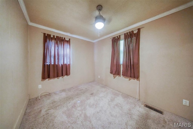 508 S Rolla St, Rolla, MO 65401 - photo 11