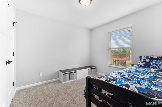 1433 Victoria Square Ct, Ofallon, IL 62269 - bedroom with carpet floors and baseboards