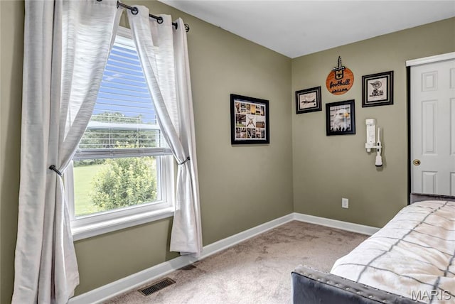 22 Dean Wells Ct, Warrenton, MO 63383 - bedroom with carpet and baseboards
