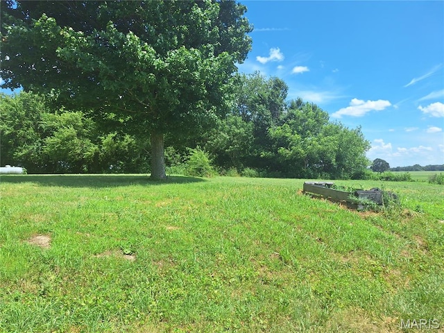 10325 Rose Rd, Saint Jacob, IL 62281 - photo 5