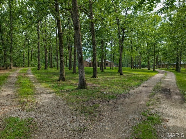 22720 Gardner Rd, Lebanon, MO 65536 - photo 54