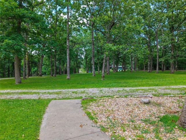 22720 Gardner Rd, Lebanon, MO 65536 - photo 55