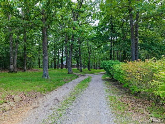 22720 Gardner Rd, Lebanon, MO 65536 - photo 58