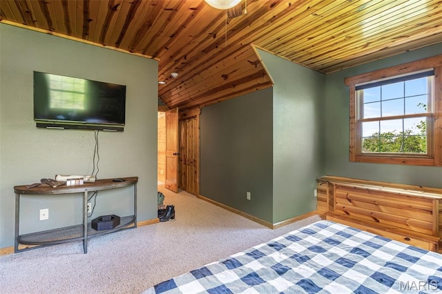 257 Arrowhead Ln, Saint Mary, MO 63673 - photo 40