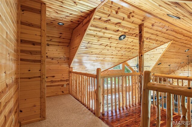257 Arrowhead Ln, Saint Mary, MO 63673 - photo 41