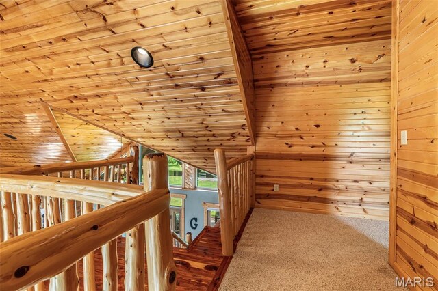 257 Arrowhead Ln, Saint Mary, MO 63673 - photo 42
