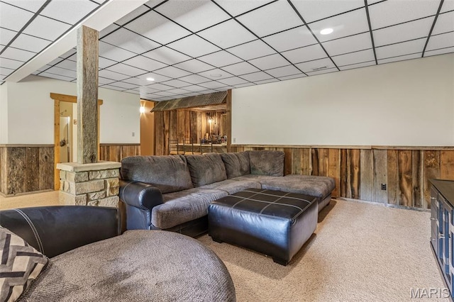 257 Arrowhead Ln, Saint Mary, MO 63673 - photo 46