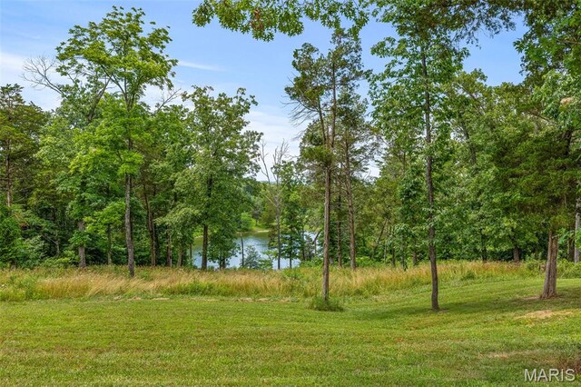 257 Arrowhead Ln, Saint Mary, MO 63673 - photo 74
