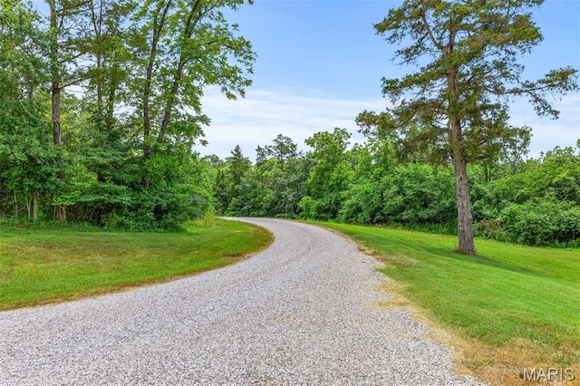 257 Arrowhead Ln, Saint Mary, MO 63673 - photo 75