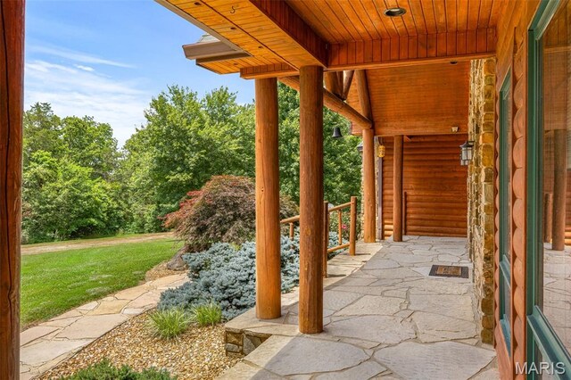 257 Arrowhead Ln, Saint Mary, MO 63673 - photo 89