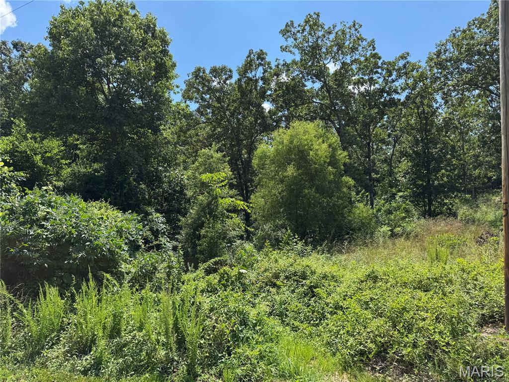 0 Valley Creek Dr, Owensville, MO 65066 - photo 3