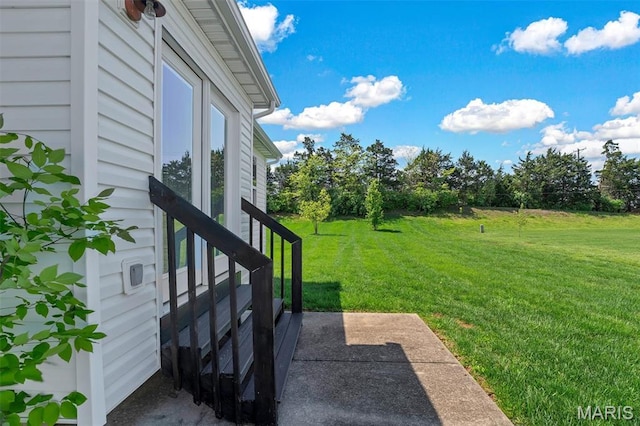 4817 Misty Wood Ct, Wentzville, MO 63385 - view of grassy yard