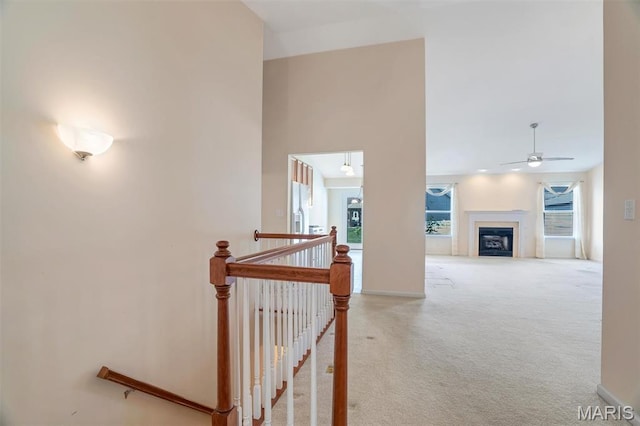 4817 Misty Wood Ct, Wentzville, MO 63385 - hall featuring an upstairs landing and carpet
