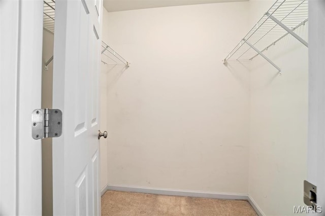 4817 Misty Wood Ct, Wentzville, MO 63385 - spacious closet with light carpet