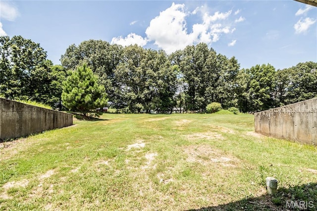 1288 County Road 488, Poplar Bluff, MO 63901 - photo 33