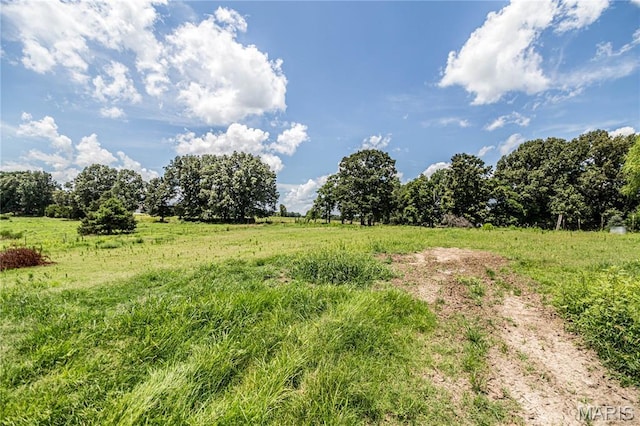 1288 County Road 488, Poplar Bluff, MO 63901 - photo 41