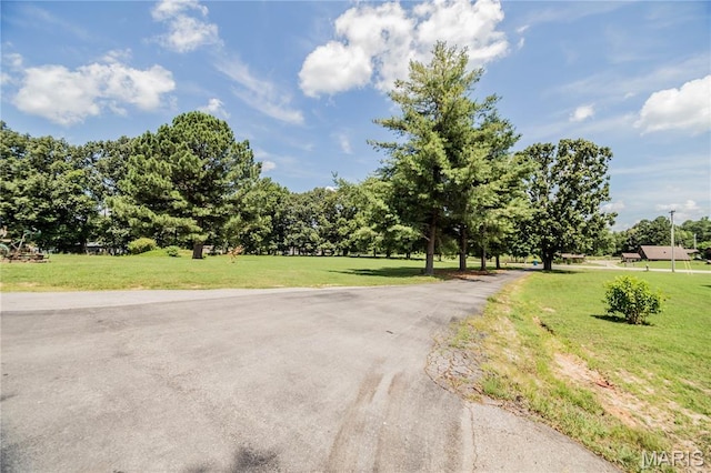 1288 County Road 488, Poplar Bluff, MO 63901 - photo 45