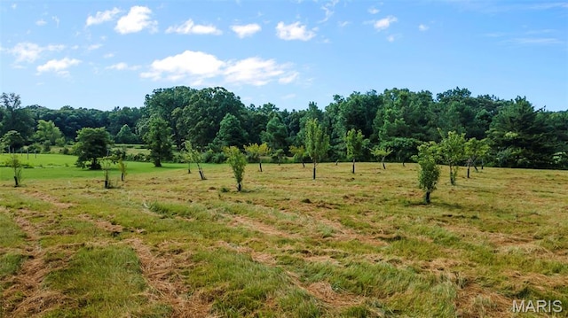 31094 State Highway 34, Marble Hill, MO 63764 - photo 5