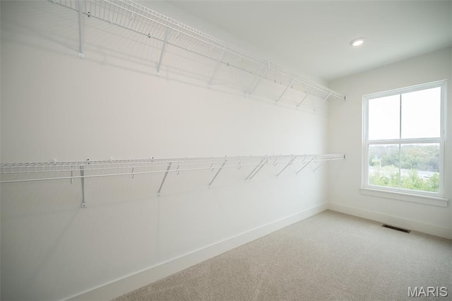 8935 E Gateway Hts Unit 94-808, Richmond Heights, MO 63144 - spacious closet featuring carpet flooring