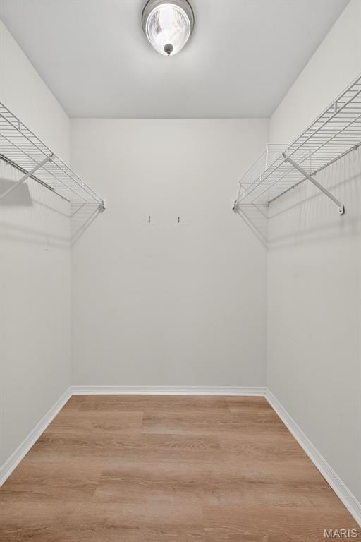 425 Charter Way Dr, Wildwood, MO 63040 - walk in closet featuring light wood-style flooring