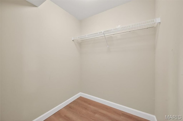 425 Charter Way Dr, Wildwood, MO 63040 - walk in closet featuring light wood-style floors
