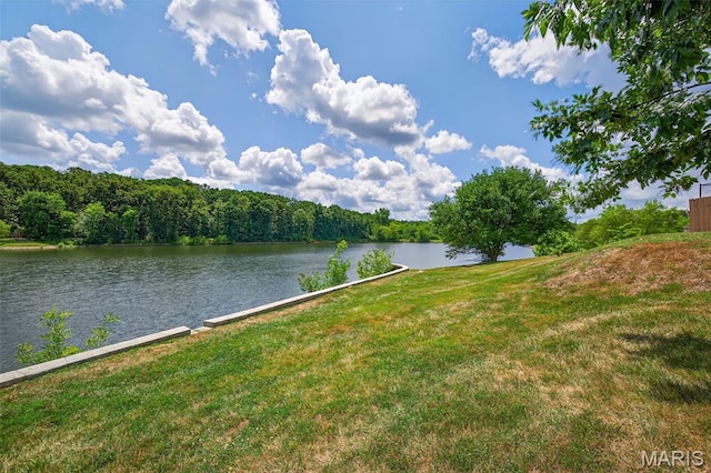 425 Charter Way Dr, Wildwood, MO 63040 - water view