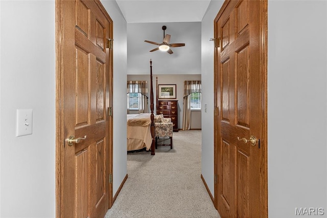 509 Lakewood Dr, Troy, IL 62294 - photo 41