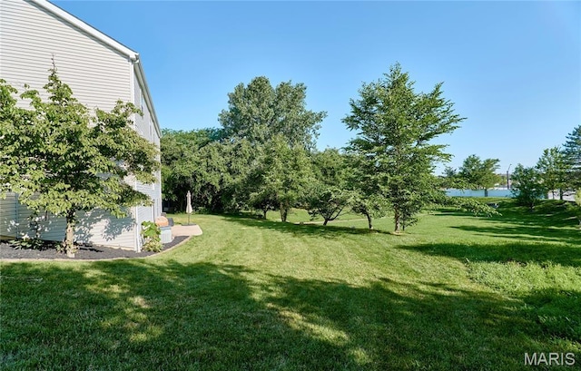 20 Airfield Crossing Court, Lake St Louis, MO 63367 - view of grassy yard featuring a water view