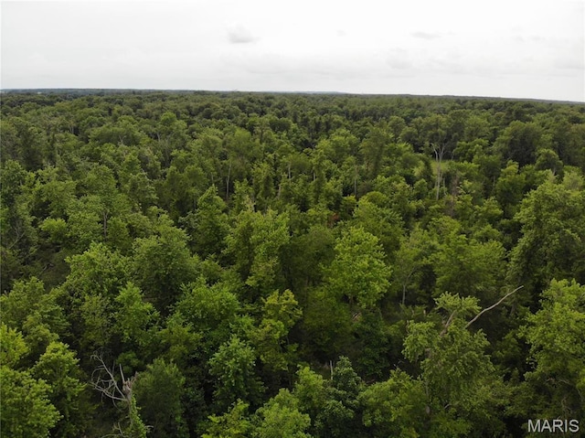 0 Magnolia Ln, Hoyleton, IL 62803