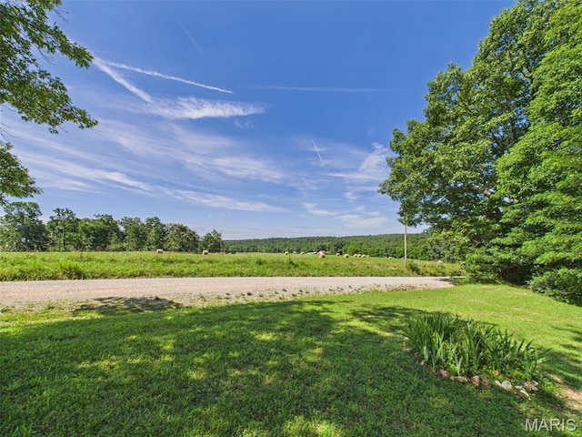 7603 Blue Moon Rd, Bucyrus, MO 65444 - view of green lawn featuring a rural view