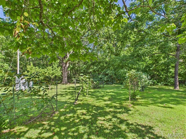 7603 Blue Moon Rd, Bucyrus, MO 65444 - view of grassy yard