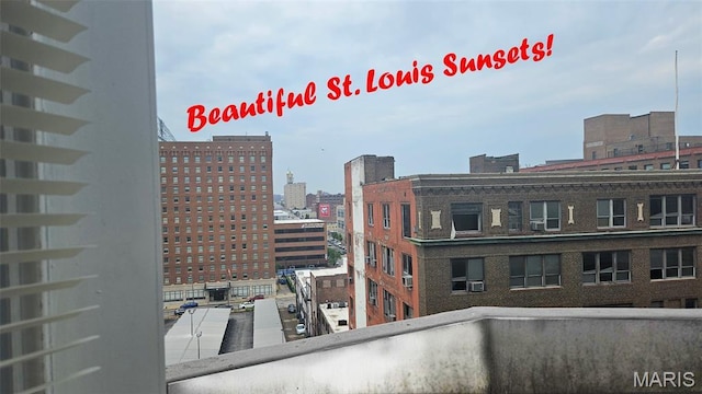 210 N 17th St Unit 905, Saint Louis, MO 63103 - city view