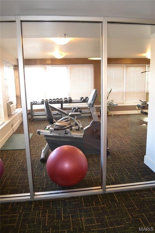 210 N 17th St Unit 905, Saint Louis, MO 63103 - exercise room featuring carpet flooring