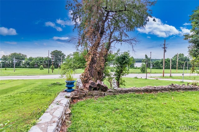 9705 Riverview Dr, Saint Louis, MO 63137 - view of grassy yard