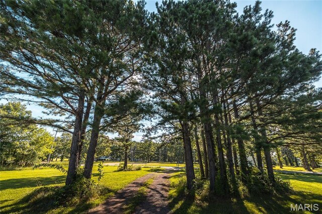 19612 State Route M, Edgar Springs, MO 65462 - view of community featuring a yard