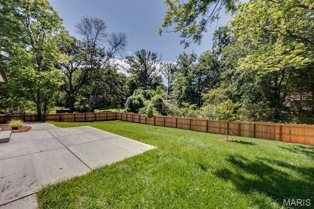 224 Oak Tree Dr, Webster Groves, MO 63119 - fenced backyard featuring a patio area