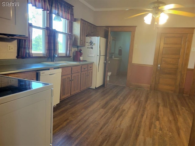 172 W Saint Louis St, Hoyleton, IL 62803 - photo 14