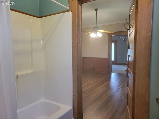 172 W Saint Louis St, Hoyleton, IL 62803 - photo 17